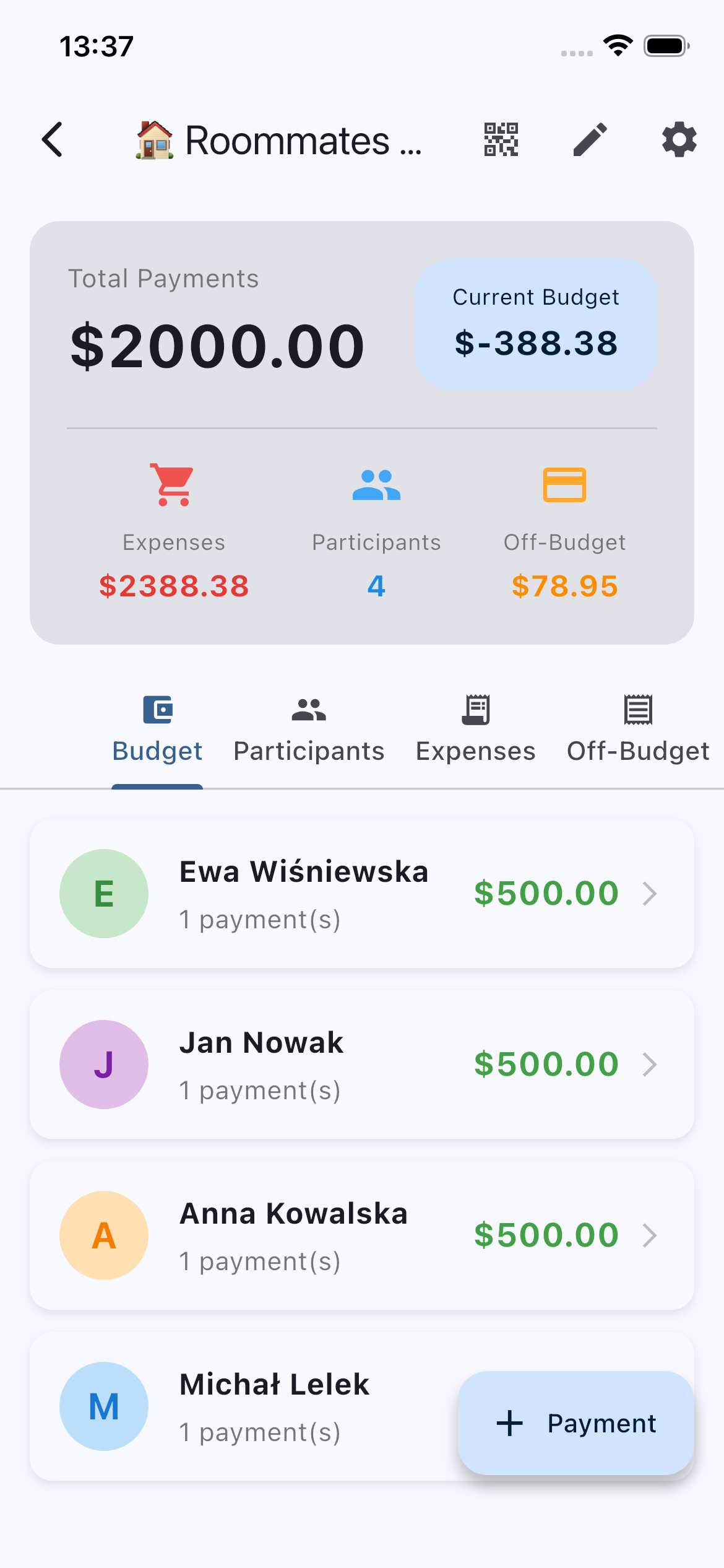 Group member summary and balances